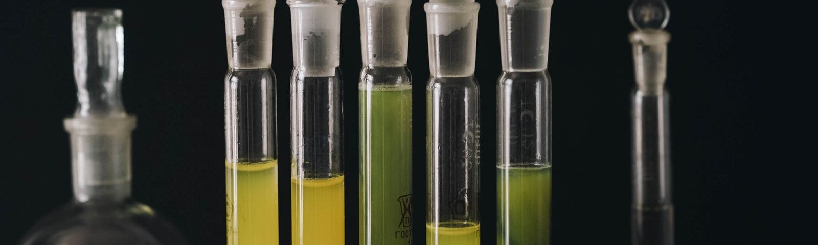 Amostras de água em análise no laboratório da Scherr